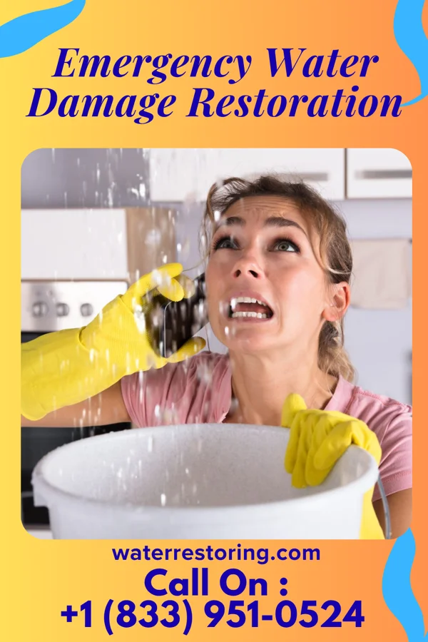Emergency Water Damage Restoration in Baldwin, IA