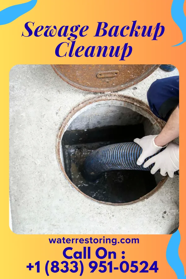 Sewage Backup Cleanup in Baldwin, IA